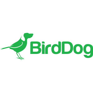 BirdDog Eyes P200 Kamera PTD 1080p Full NDI Czarna