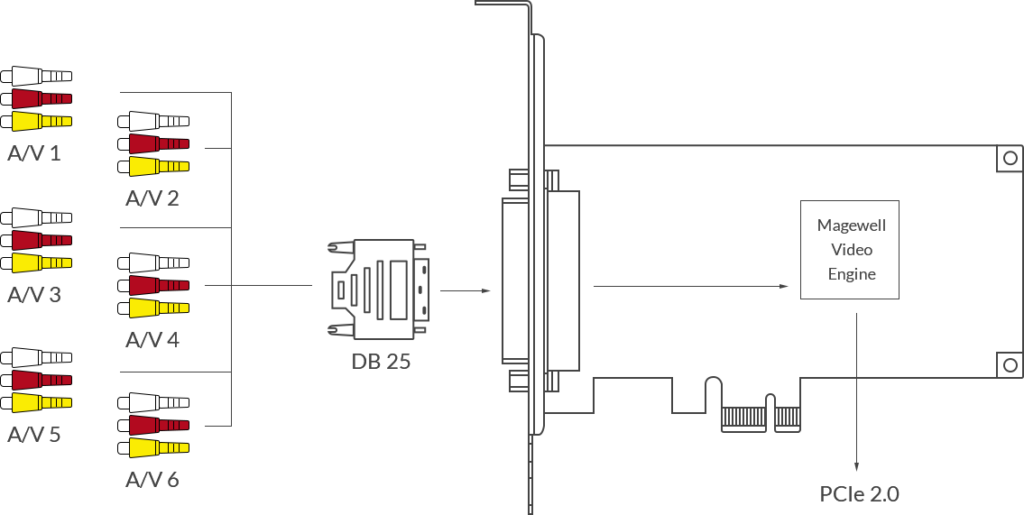 Magewell 111900000 Pro Capture Hexa CVBS