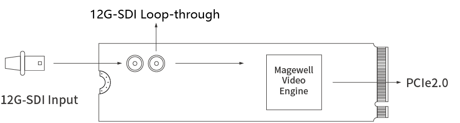 Magewell Eco Capture SDI 4K Plus M.2