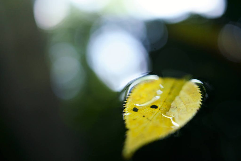 Tamron Obiektyw 35MM F/2.8 DI III OSD M1:2 Sony FE