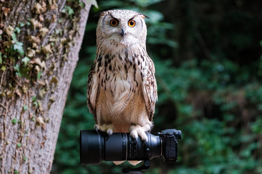 Tamron Obiektyw 150-500mm F/5-6.7 Di III VC VXD Fuji X