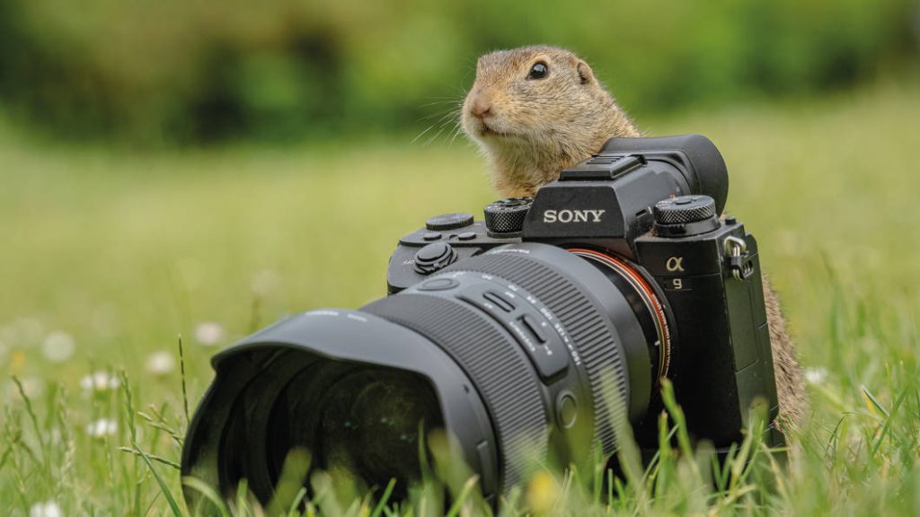 Tamron Obiektyw 150-500 MM F/5-6.7 DI III VC VXD Sony FE