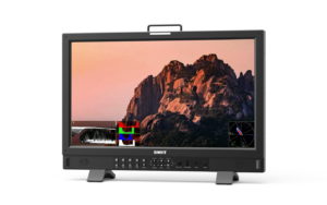 SWIT BM-H245 | 23,8-calowy monitor produkcyjny 4K z obsługą wejścia