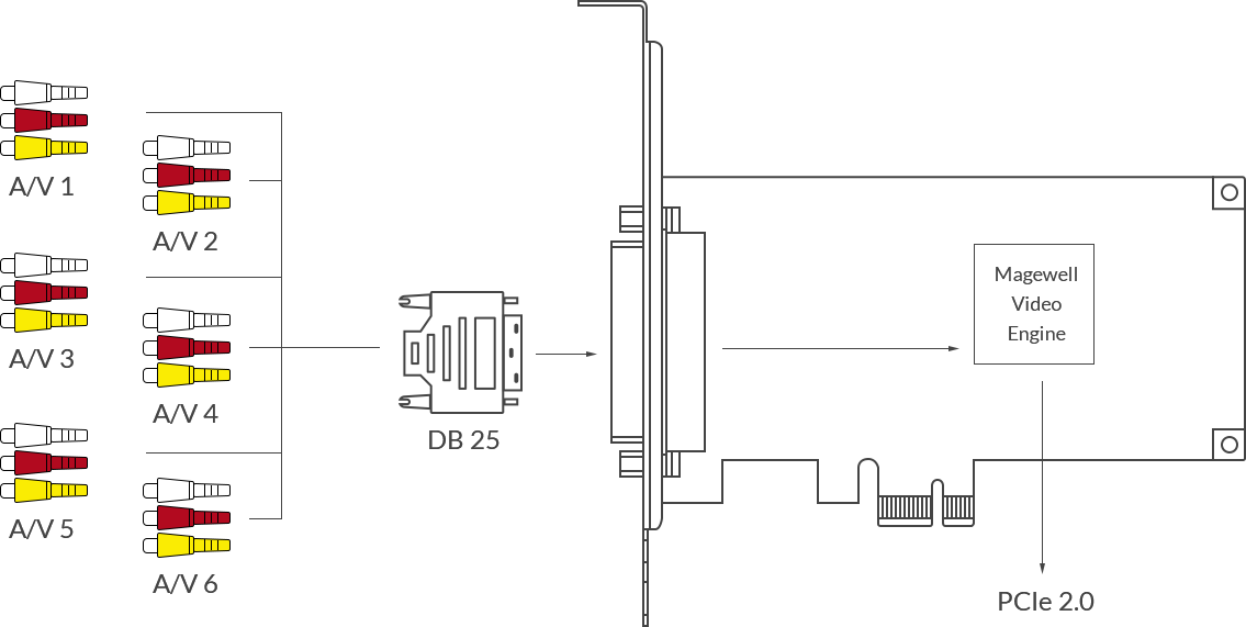 Magewell 112500000 Pro Capture Hexa CVBS