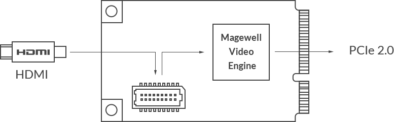 Magewell 111100002 Pro Capture Mini HDMI