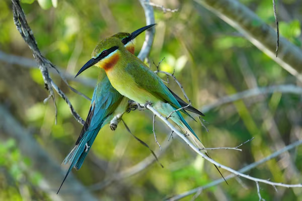 Aparat Cyfrowy Sony A6700