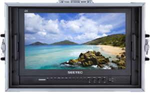 Monitor podglądowy SEETEC P173-9HSD-CO 17.3" przenośny monitor