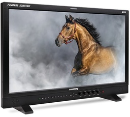 Flanders FSI DM231 | 23,8-calowy monitor FHD LCD