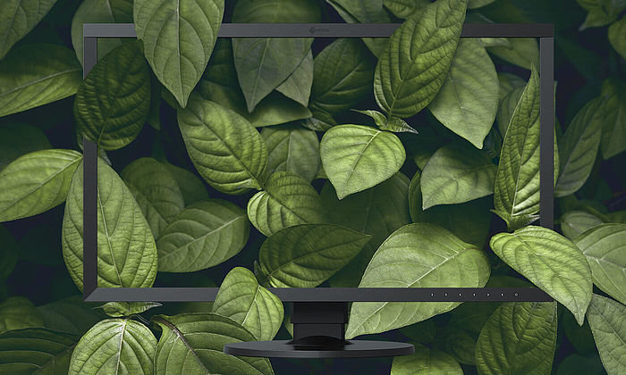 Monitor EIZO ColorEdge CS2740